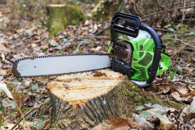 Pilarki mechaniczne do ścinki drzew klasa III